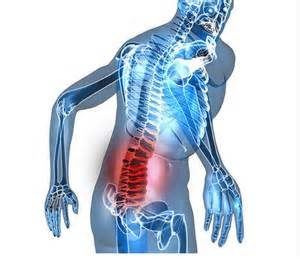 patologías de la espalda